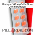 Kamagra 100 Mg Gelée Orale Comment Utiliser 26